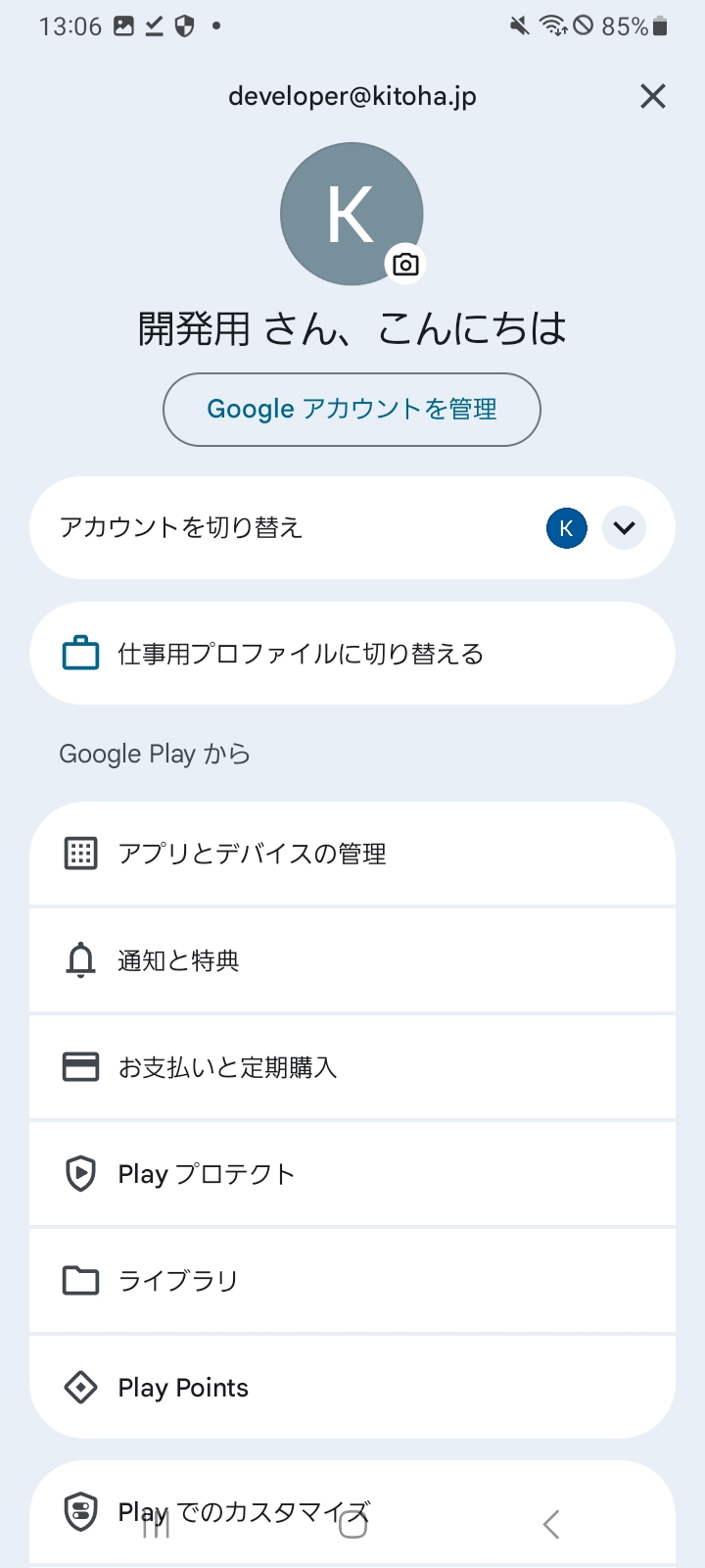 Playプロテクトメニュー
